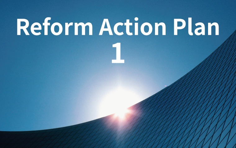 Reform Action Plan 1
